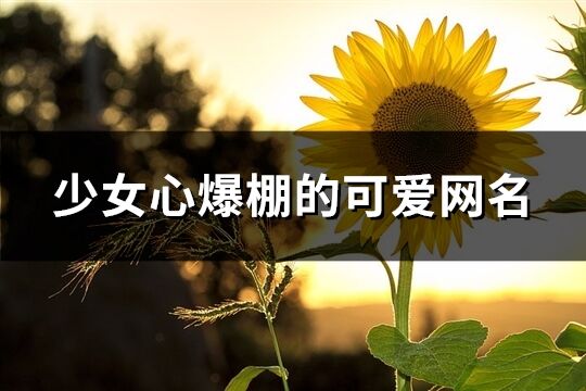 少女心爆棚的可愛網名(優選317個)