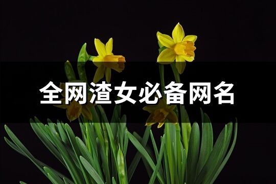 全網(wǎng)渣女必備網(wǎng)名(優(yōu)選121個(gè))