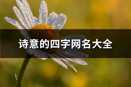 詩意的四字網(wǎng)名大全(優(yōu)選510個)