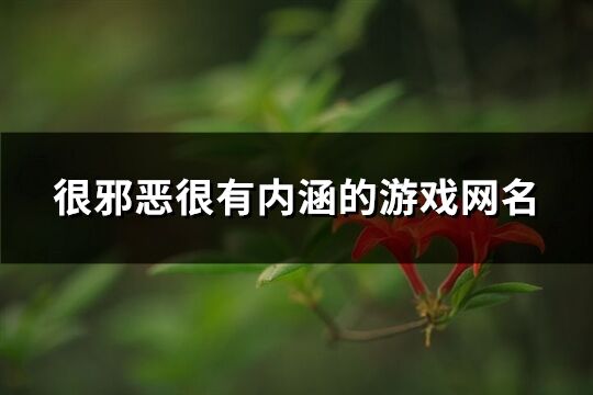 很邪惡很有內(nèi)涵的游戲網(wǎng)名(優(yōu)選208個(gè))