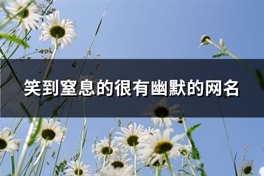 笑到窒息的很有幽默的網名(共75個)