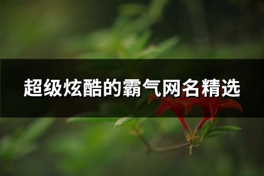 超級(jí)炫酷的霸氣網(wǎng)名精選(精選302個(gè))