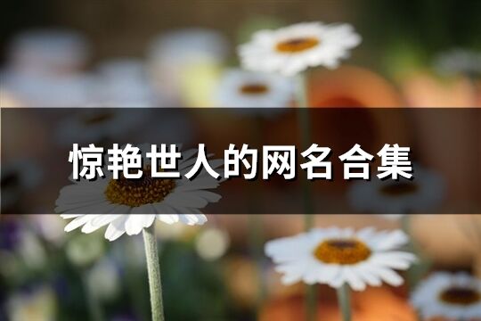 驚艷世人的網名合集(優選309個)