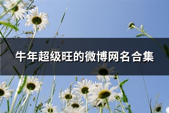牛年超級旺的微博網名合集(精選565個)