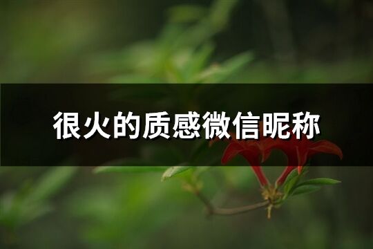 很火的質感微信昵稱(精選263個)