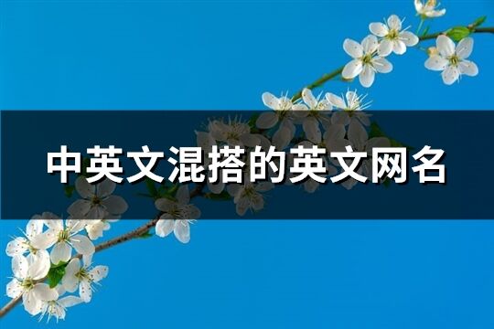 中英文混搭的英文網(wǎng)名(87個(gè))