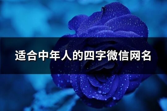 適合中年人的四字微信網名(共402個)