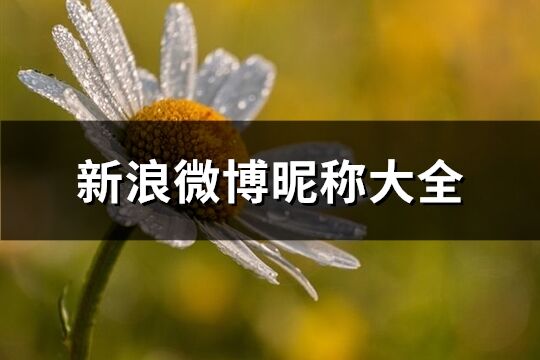 新浪微博昵稱大全(共419個)