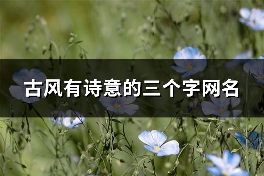 古風有詩意的三個字網名(843個)
