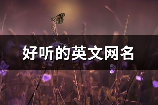 好聽的英文網(wǎng)名(40個)