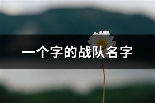 一個(gè)字的戰(zhàn)隊(duì)名字(60個(gè)) 一個(gè)字的戰(zhàn)隊(duì)名字(60個(gè))