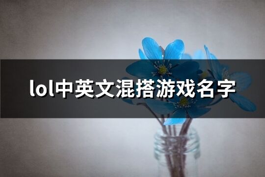 lol中英文混搭游戲名字(精選112個(gè))