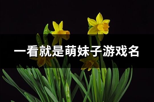 一看就是萌妹子游戲名(341個)