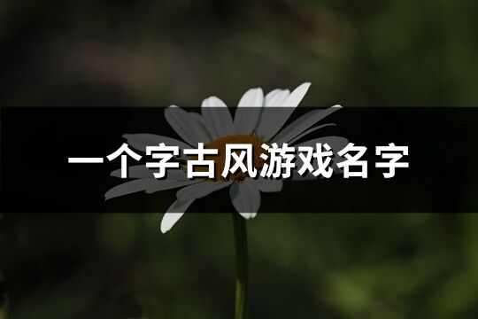 一個字古風游戲名字(共138個)