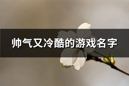 帥氣又冷酷的游戲名字(501個(gè))