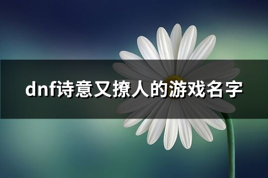 dnf詩意又撩人的游戲名字(精選155個)