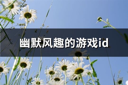 幽默風趣的游戲id(172個)