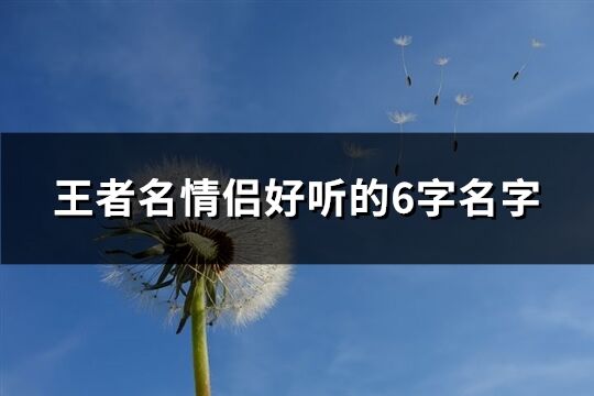 王者名情侶好聽的6字名字(共286個)