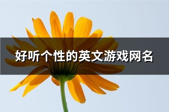 好聽個性的英文游戲網名(優選160個)