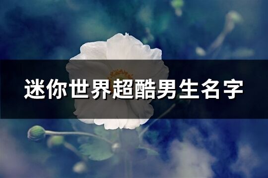 迷你世界超酷男生名字(優(yōu)選224個(gè))