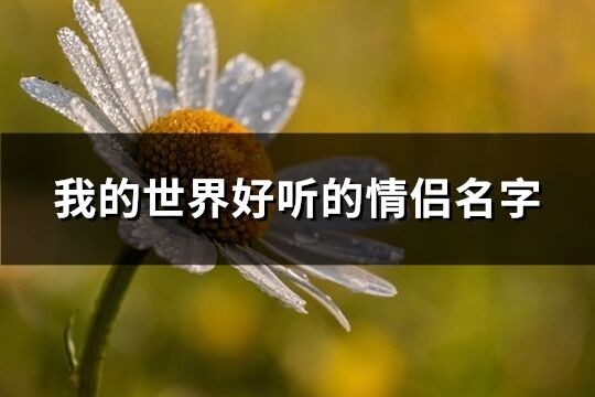 我的世界好聽的情侶名字(優(yōu)選130個)