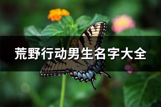 荒野行動男生名字大全(精選97個)