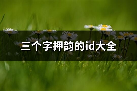 三個字押韻的id大全(210個)