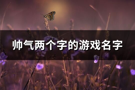 帥氣兩個字的游戲名字(232個)