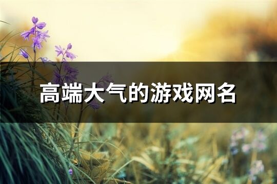 高端大氣的游戲網(wǎng)名(171個(gè))