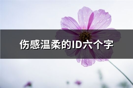 傷感溫柔的ID六個字(共306個)