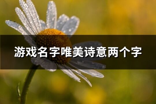 游戲名字唯美詩意兩個字(共522個)