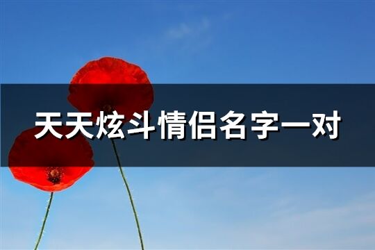 天天炫斗情侶名字一對(優選124個)