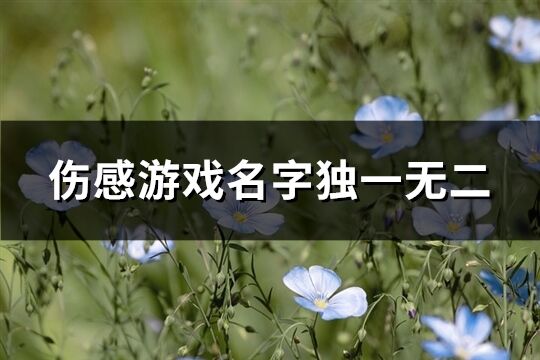 傷感游戲名字獨(dú)一無(wú)二(519個(gè))
