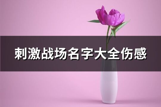 刺激戰(zhàn)場名字大全傷感(精選332個)