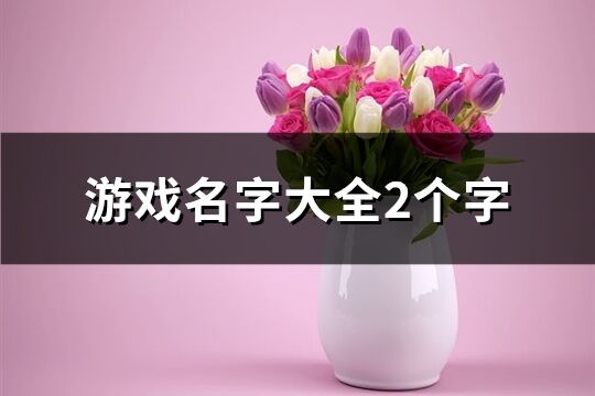 游戲名字大全2個字(優(yōu)選701個)