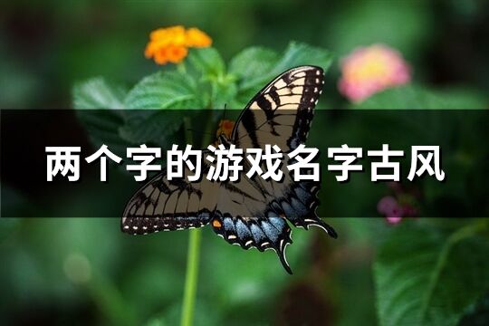 兩個字的游戲名字古風(精選504個)