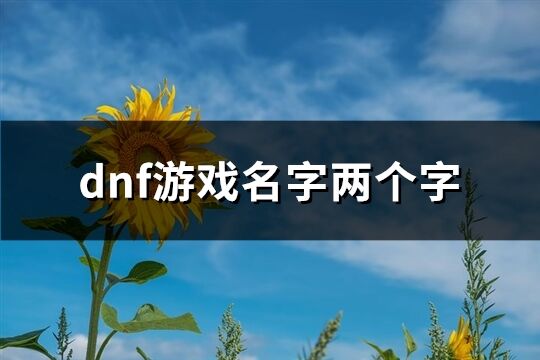 dnf游戲名字兩個字(621個)