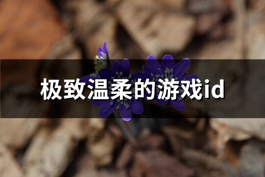 極致溫柔的游戲id(60個)