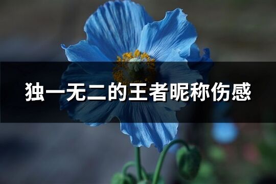 獨一無二的王者昵稱傷感(精選248個)
