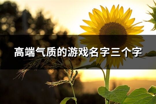 高端氣質(zhì)的游戲名字三個字(1497個)