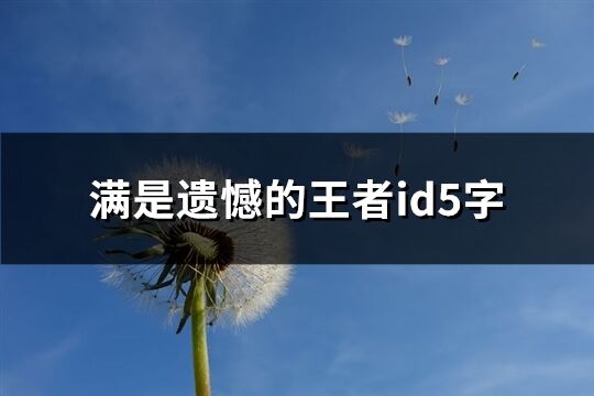 滿是遺憾的王者id5字(優(yōu)選99個)