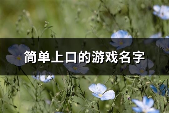簡單上口的游戲名字(共463個)