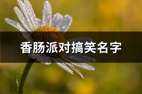 香腸派對搞笑名字(精選203個)
