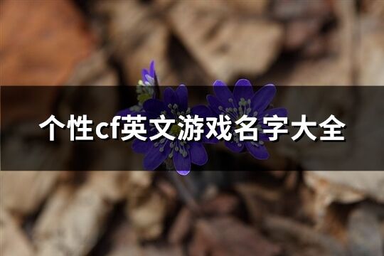 個性cf英文游戲名字大全(164個)