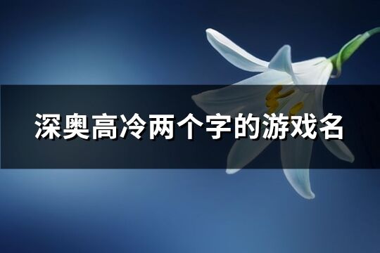 深奧高冷兩個字的游戲名(1003個)