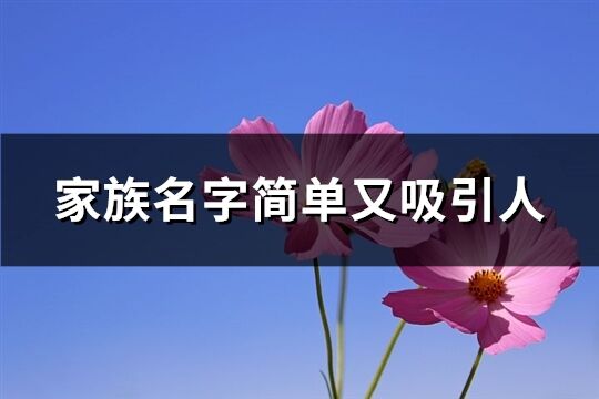家族名字簡單又吸引人(229個)