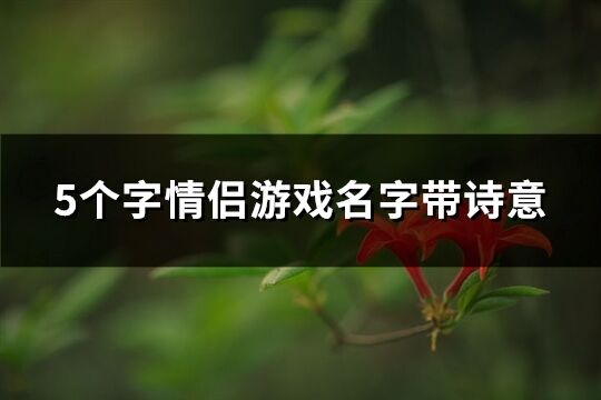 5個字情侶游戲名字帶詩意(優選94個)