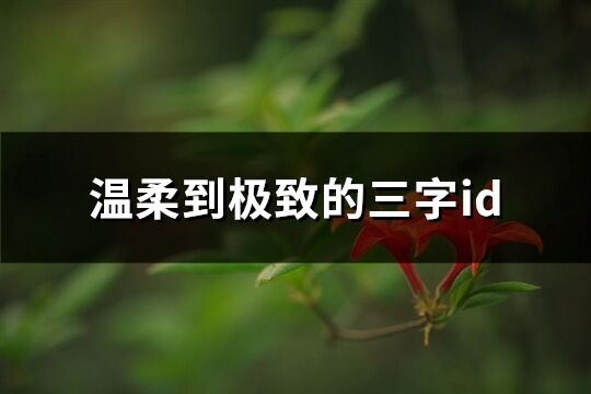 溫柔到極致的三字id(優選569個)