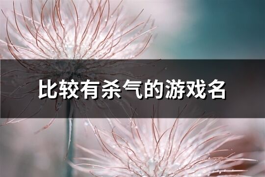 比較有殺氣的游戲名(共513個(gè))