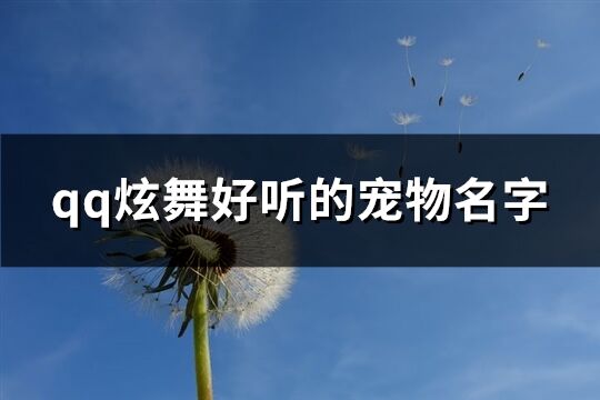 qq炫舞好聽的寵物名字(精選209個)
